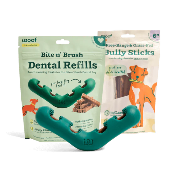 The Bite n' Brush Starter Pack