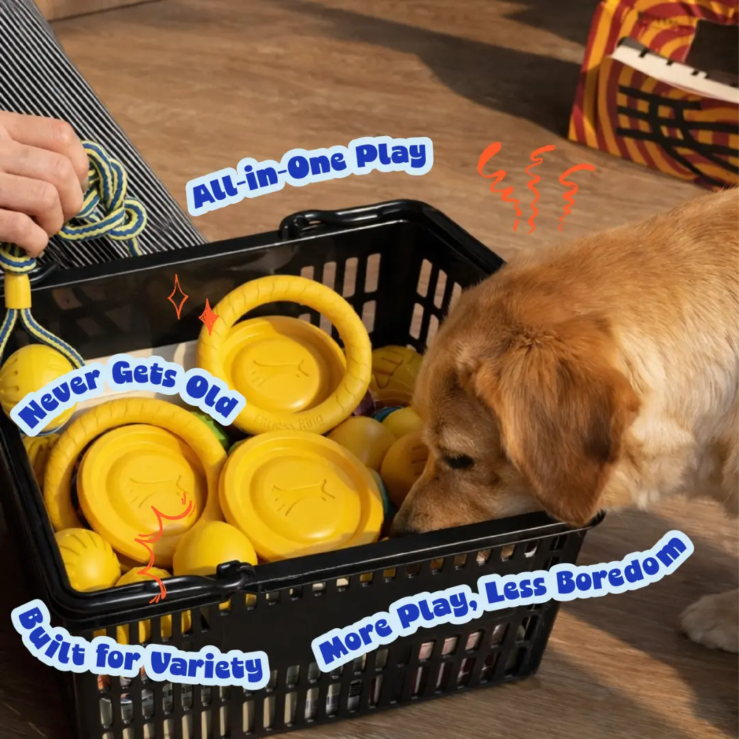 Pupcub Zoomie Bundle