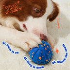 Pupcub In & Out Mega Bundle