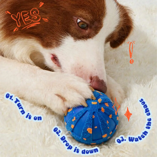 Pupcub Jumpstart