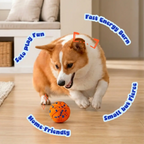 Pupcub In & Out Mega Bundle